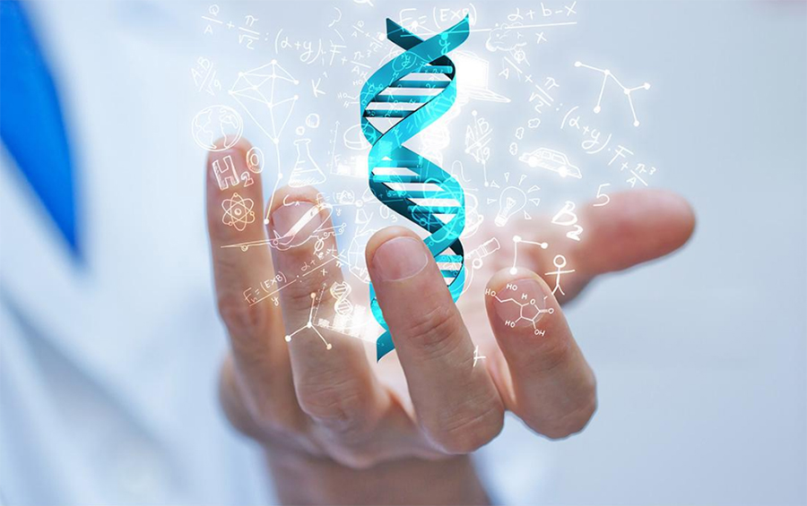 贵阳DNA鉴定收费标准,贵阳亲子鉴定具体的流程