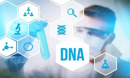 贵阳DNA鉴定收费标准,贵阳亲子鉴定具体的流程